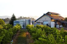 Private Sidecar Winery Tour through San Luis Obispo