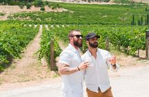 Private Sidecar Winery Tour through San Luis Obispo