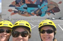 Electric Bike Art and Architecture Guided Tour in Jacksonville 