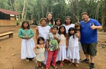 Private Full-Day Visit to an Indigenous Village in São Paulo
