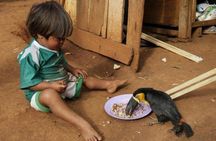 Private Full-Day Visit to an Indigenous Village in São Paulo
