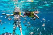 Boat and Snorkeling in West End (Blue Channel, The Aquarium, Turtle Crossing) 