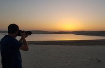 Doha: Sunrise /Sunset Desert Safari with Sand Boarding,Camel ride