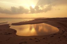 Doha: Sunrise /Sunset Desert Safari with Sand Boarding,Camel ride