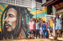 Montego Bay Private Tour with Pick Up