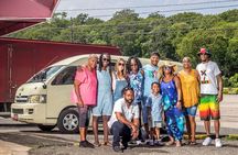 Montego Bay Private Tour with Pick Up