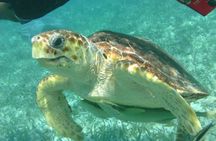 Hol-Chan Snorkel Tour from Caye Caulker