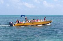 3 Hours Barrier Reef Tour in Caye Caulker, Belize