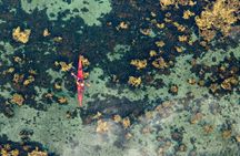 Small-Group Kayaking Experience in Lysefjord