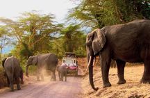 7 Days Best of Kenya Wildlife Safari