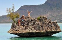 Private Speed Boat Tour and Dolphin Encounter at Ile aux Benitier