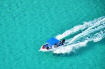 Private Speed Boat Tour and Dolphin Encounter at Ile aux Benitier
