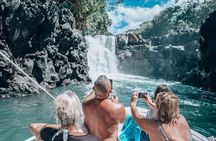 Private speed boat to Ile aux Cerfs full-day Incl: Lunch & Transfer