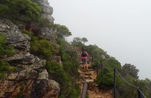 Pipetrack Hike for the whole family on Table Mountain - PRIVATE