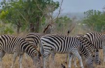 Private Shai Hills To Akosombo Experience