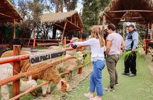 2-Day Tour: Sacred Valley & Machu Picchu – All Tickets Included