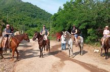 Horse Back Riding With Danitours Montain Rural Areas And Sand Beach