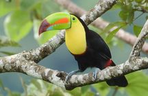 One Day Of Nature in Monteverde 