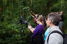 One Day Of Nature in Monteverde 