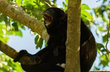 One Day Of Nature in Monteverde 