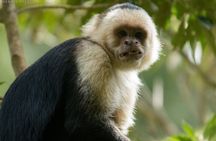 One Day Of Nature in Monteverde 