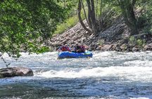 Half Day Roaring Fork Rafting