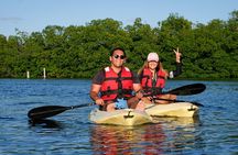 Kayaking Tour in Cancun