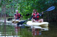 Kayaking Tour in Cancun