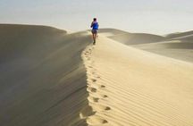 Half Day Desert Safari and Inland Sea