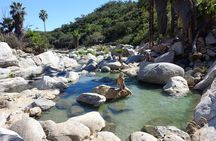 Natural Hot Springs Experience