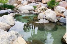 Natural Hot Springs Experience