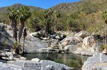 Natural Hot Springs Experience