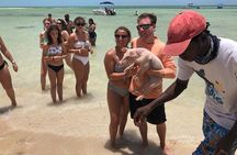 Swimming Pigs Half Day Charter on Cruisin Tiki Bar Boat 8 persons