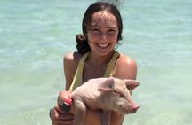 Swimming Pigs Half Day Charter on Cruisin Tiki Bar Boat 8 persons