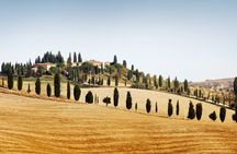 Chianti and Castle Small Group Tour from Siena with Wine Tasting