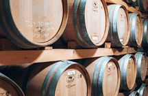 Chianti and Castle Small Group Tour from Siena with Wine Tasting