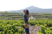 Santorini Instagram Private Tour with a Local