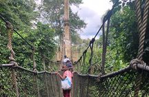 Ghana Private Historic Tour through Castles and Nature