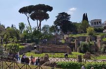 Colosseum Arena Floor Roman Forum and Palatine Hill Live Guide