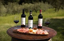 Exclusive Lunch Tour and Wine tasting at a Chianti Classic Winery