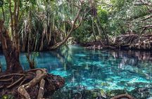 Kikuletwa Hot spring