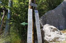 1-Day Tour to Visit the Wonderful Amalfi Coast