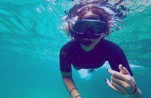 Full Day Pinzon Island, Finishing in la Fe with Snorkeling and Lunch included