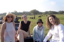 Minneriya National Park Private Safari from Habarana