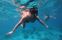 Snorkel Adventure at Bonaire Marine Park