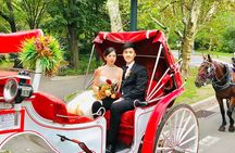VIP Central Park Champagne Tour with Photos(50 min)~Skip the line