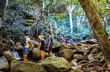 West Maui Adventure Tour with Private Guide