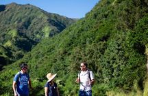 West Maui Adventure Tour with Private Guide