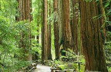 Alcatraz Muir Woods and Sausalito Express with Brunch Credit