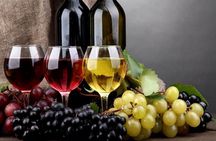 PRIVATE Wine Tasting Tour to the Bekaa Valey Fabulous Wineries